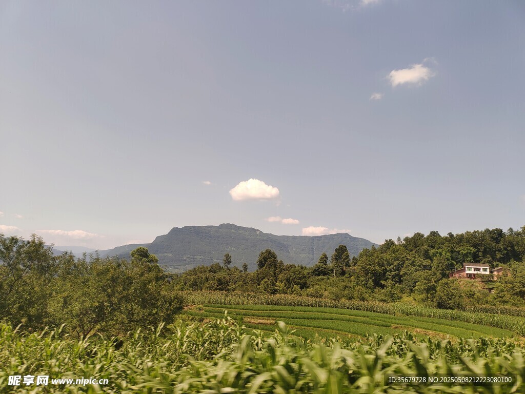 田园风光中的远山与绿野