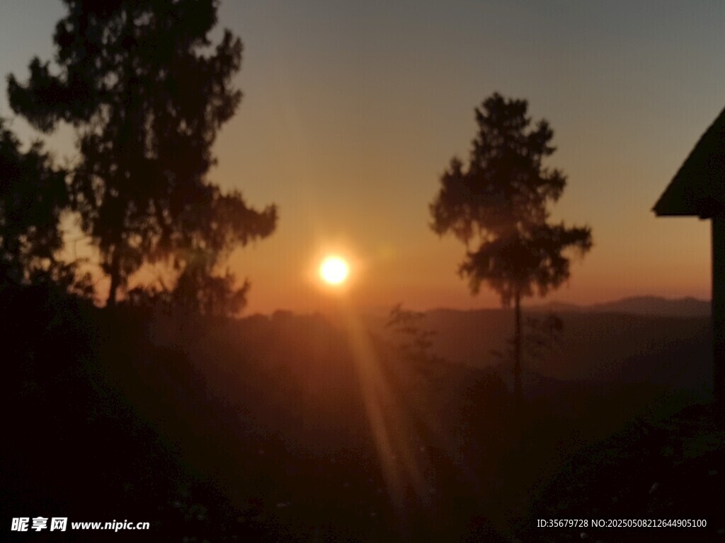 日落时分的静谧山林景色