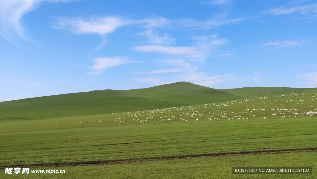 辽阔草原风光