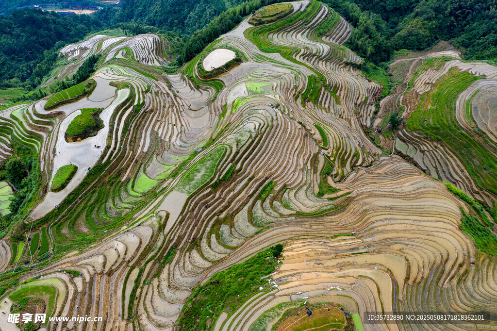 壮观梯田美景