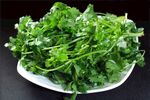 新鲜香菜盛于白盘