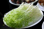新鲜嫩绿豌豆苗摆盘中