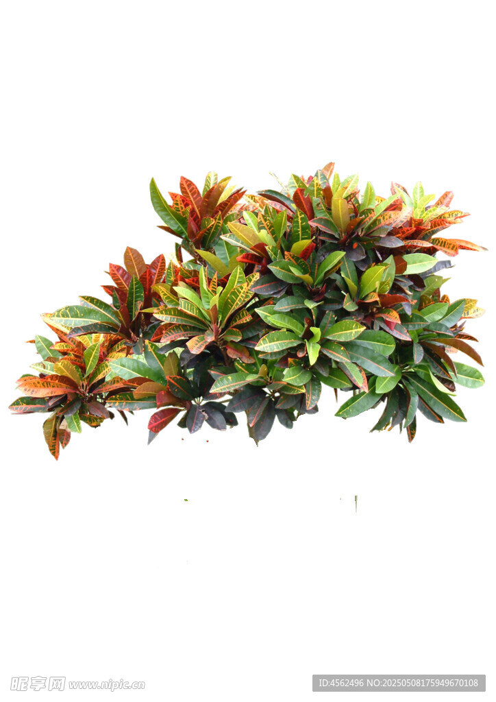 多彩仿真植物摆件