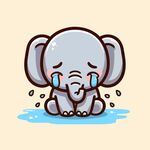哭泣的小象