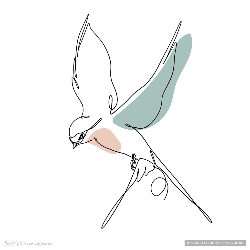 手绘飞翔小鸟插画