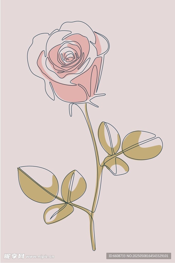 手绘粉色玫瑰插画