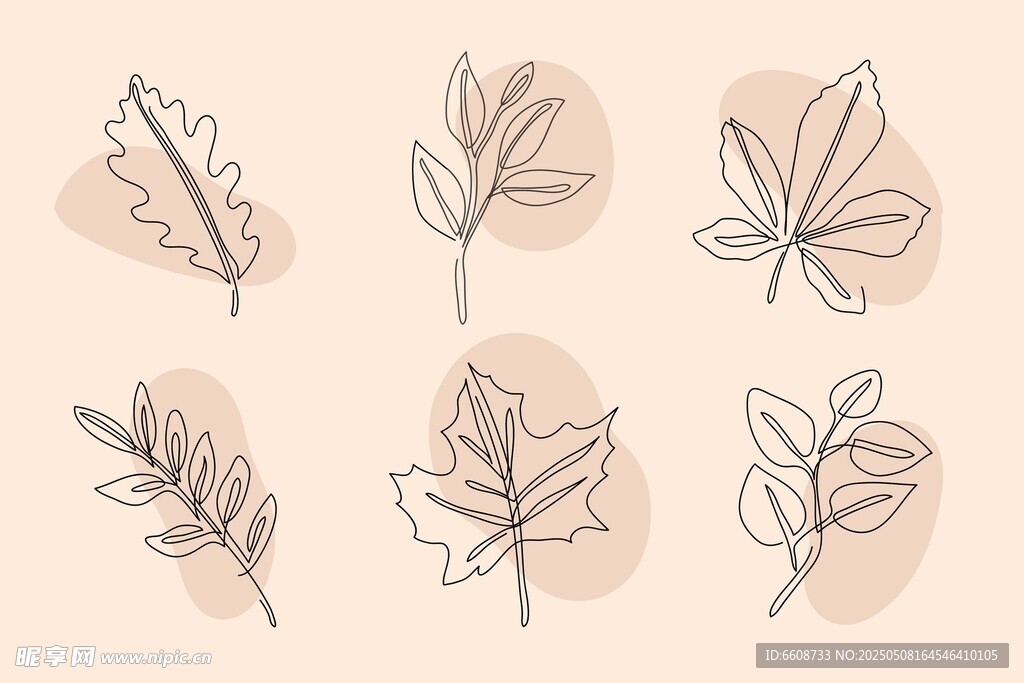 手绘简约植物叶片图案