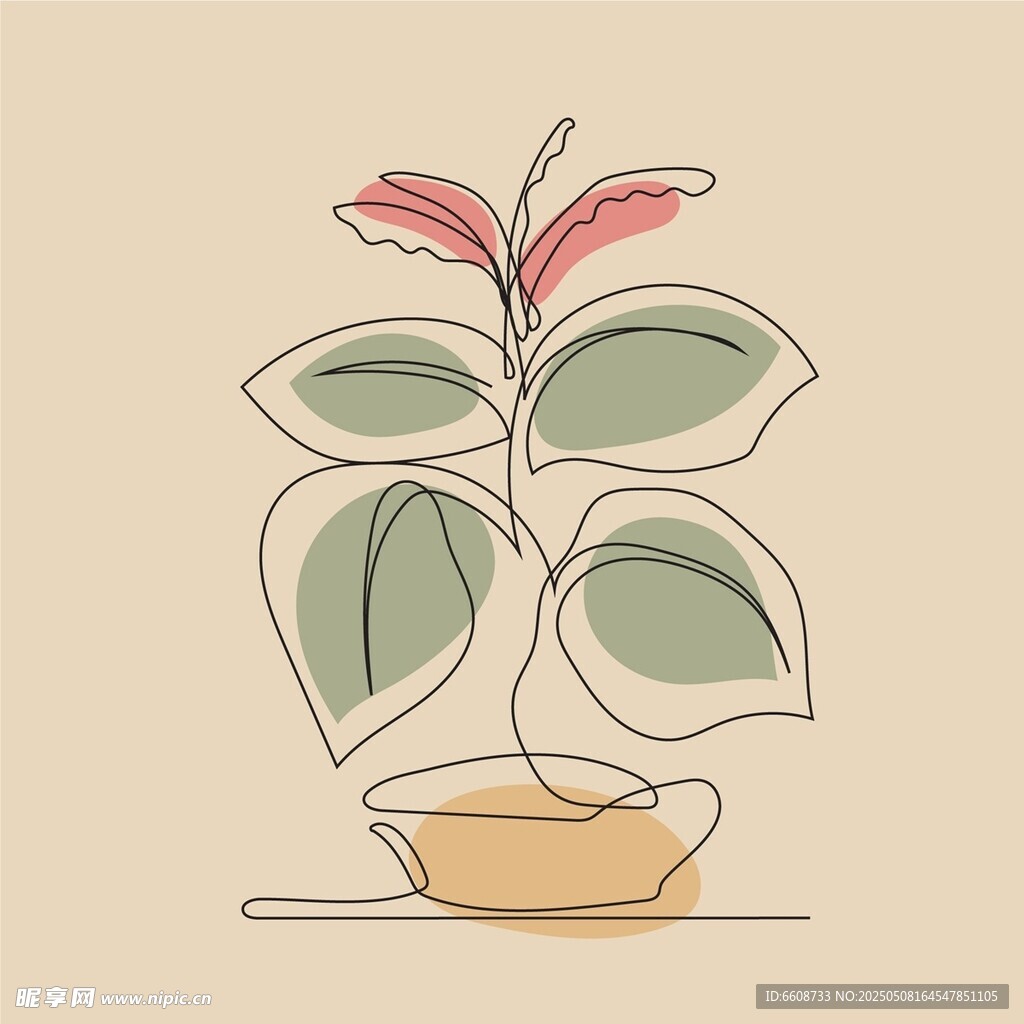 简约盆栽插画