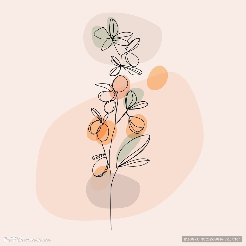 简约风橙色果实植物插画