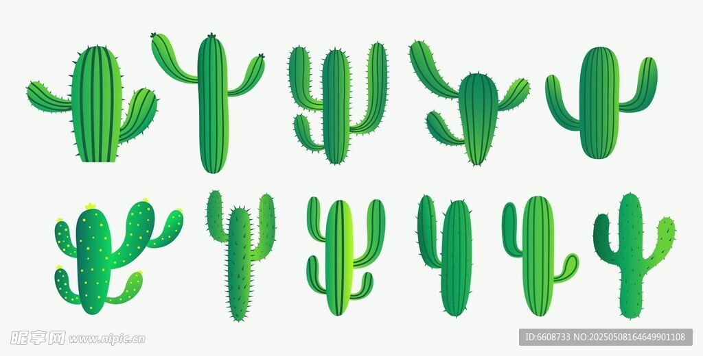 多样仙人掌矢量插画素材