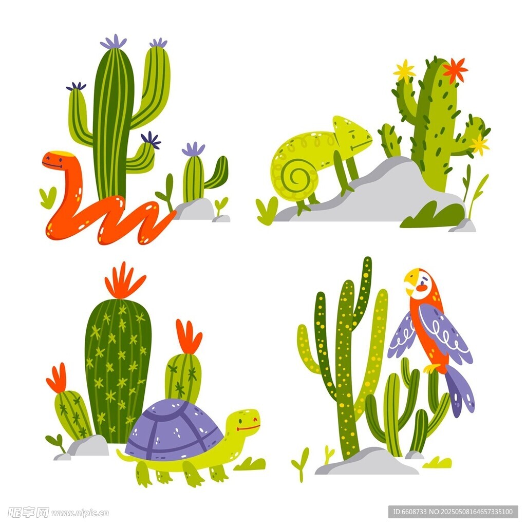 沙漠动植物插画