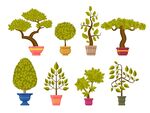 多样盆栽植物插画展示