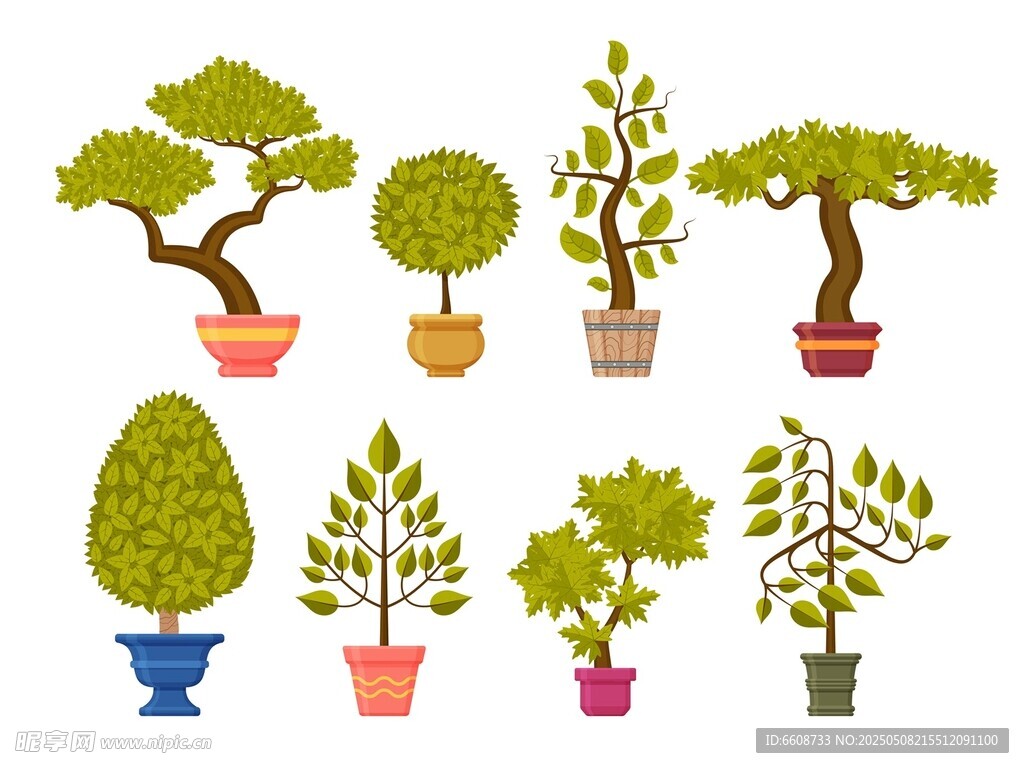 多样盆栽植物插画展示