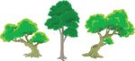 三棵风格各异的树木