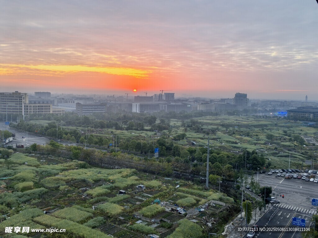 城市日出下的绿地景观