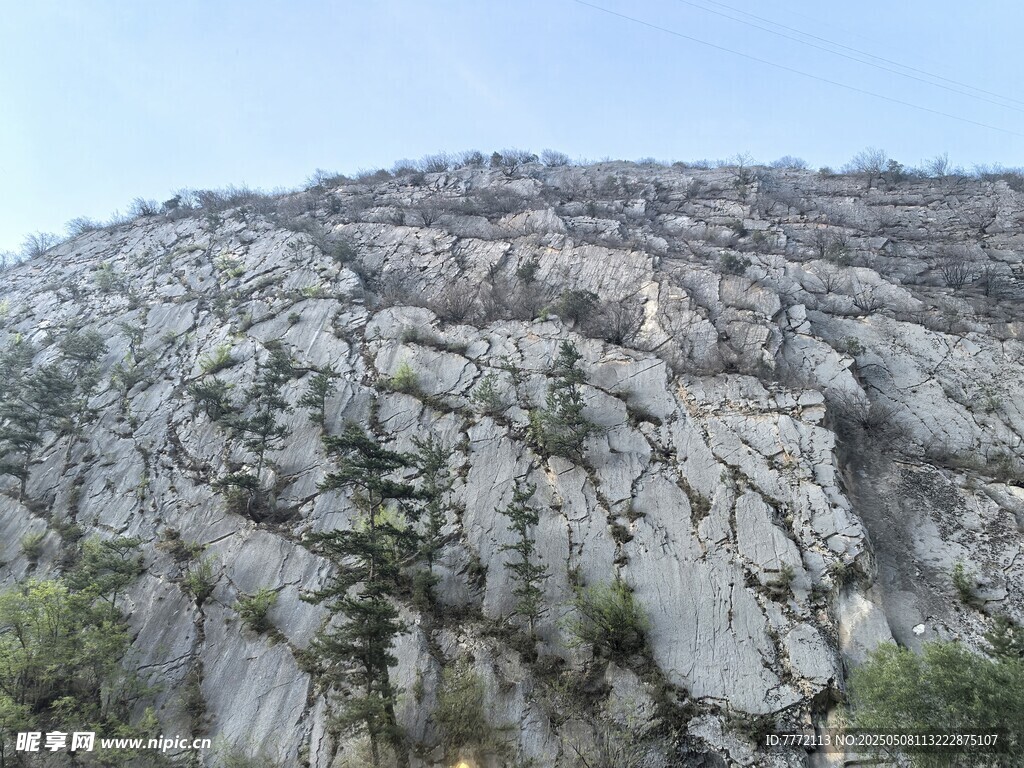 嶙峋山石景观