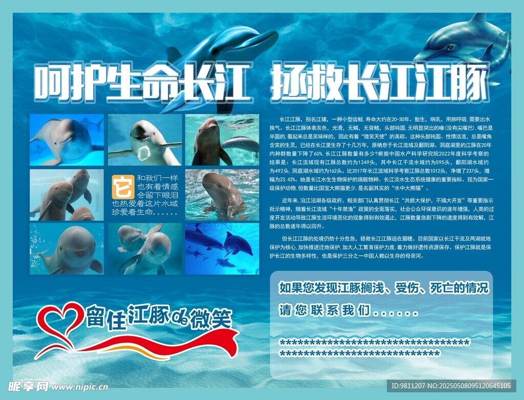 保护长江生命 