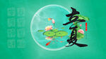 立夏荷花海报