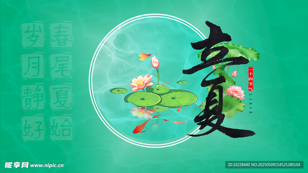 立夏荷花海报