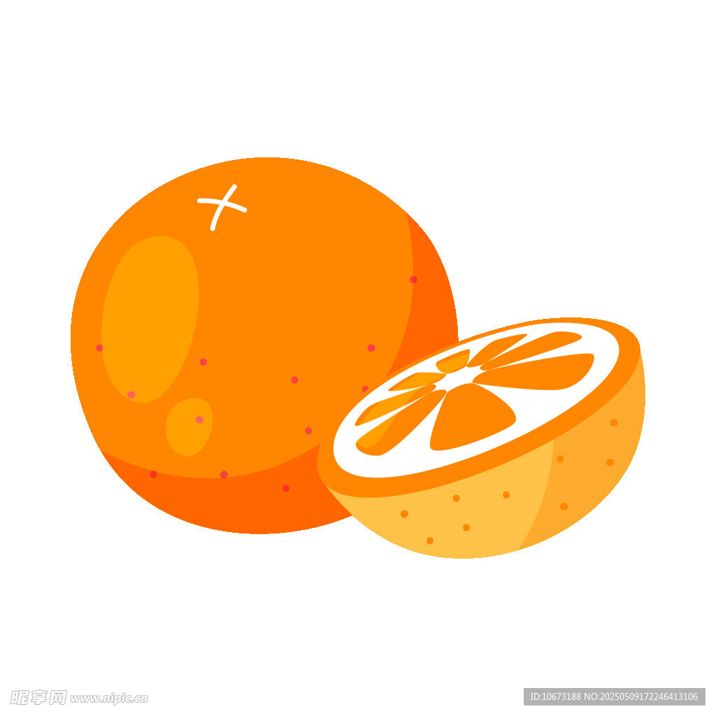 橙子插画完整与切片形态