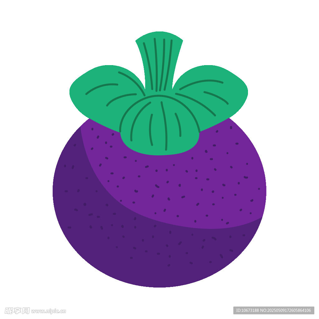 紫色山竹插画