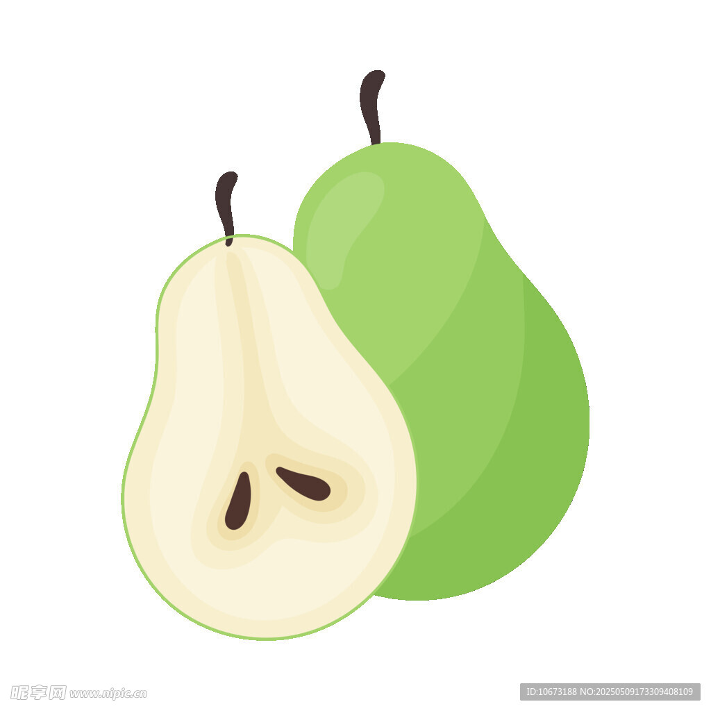 青梨插画