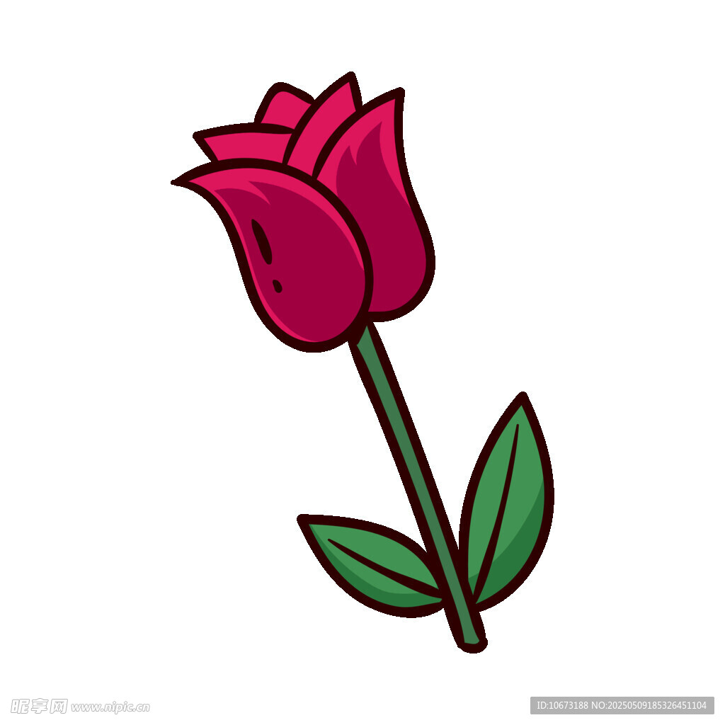 手绘红色玫瑰花插画