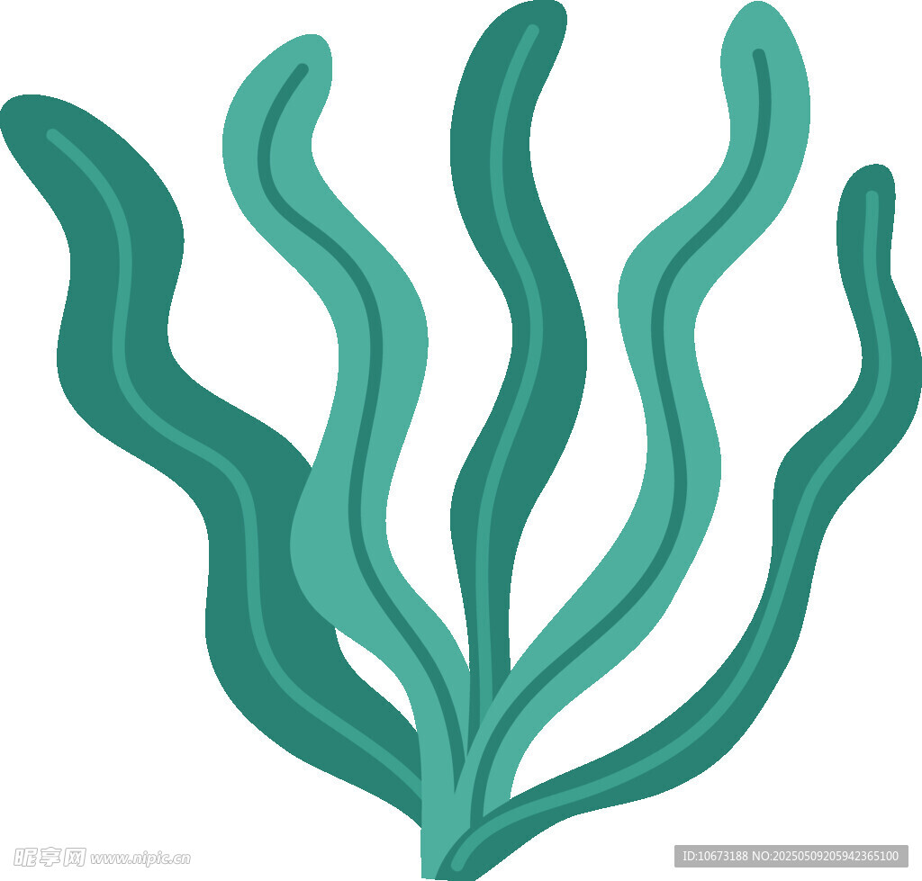 绿色海草插画