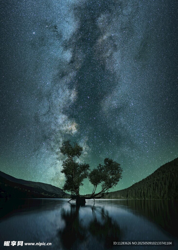 星空下的孤树与静谧水面