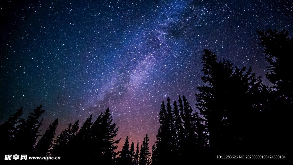 森林上空的璀璨星河