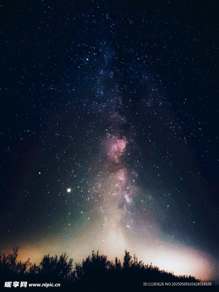 璀璨星空下的静谧森林
