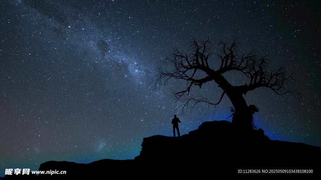 星空下的孤树与伫立之人