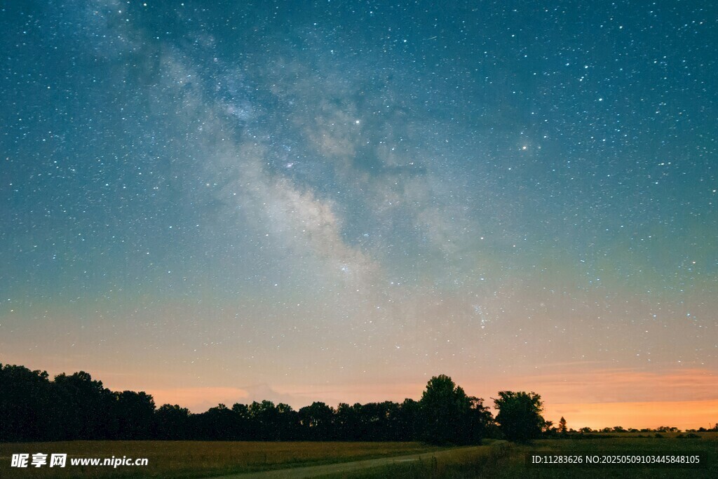 夜幕下的璀璨星空与树林