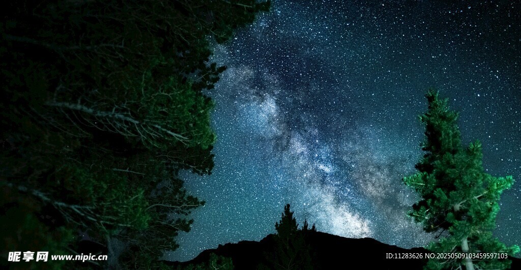 夜空下的森林与璀璨星河