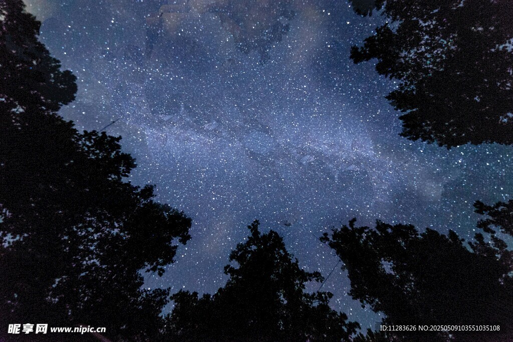 森林上空的璀璨星空
