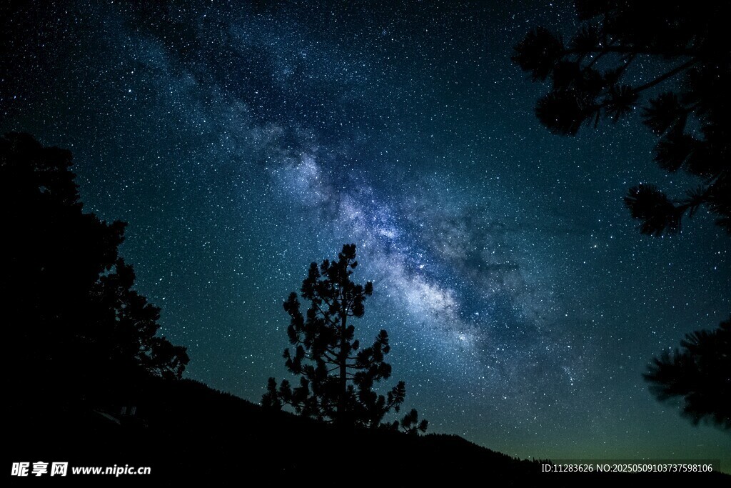 夜空下的璀璨星河与树木