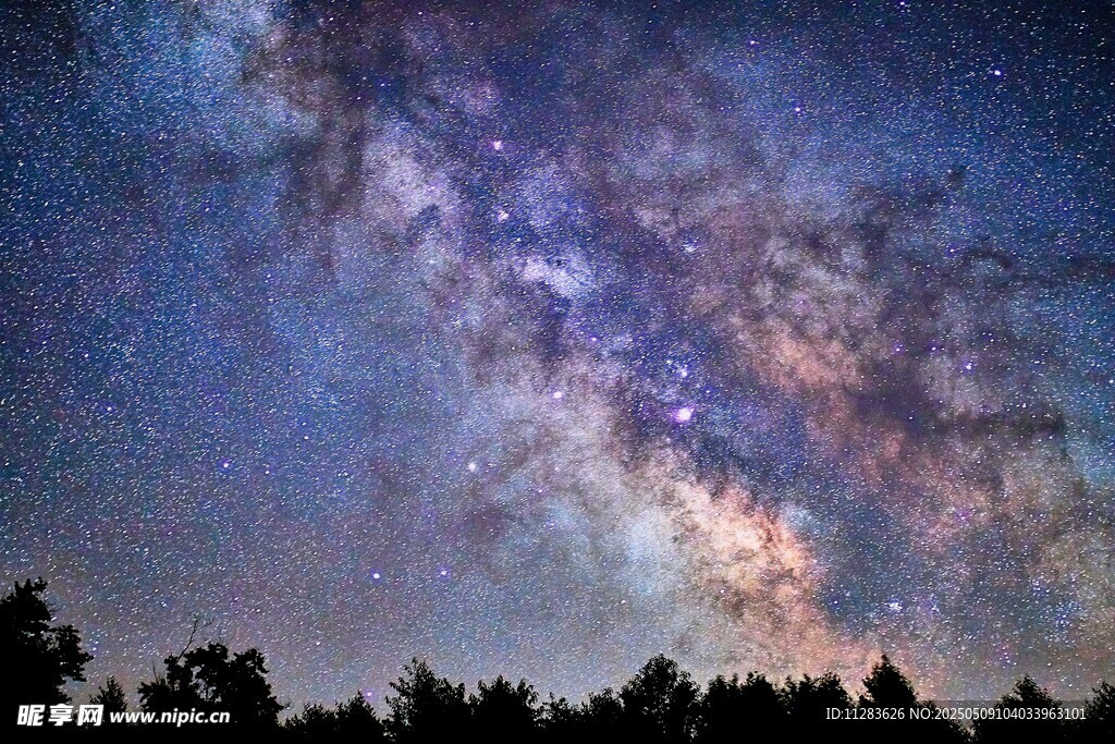 璀璨星空下的静谧森林