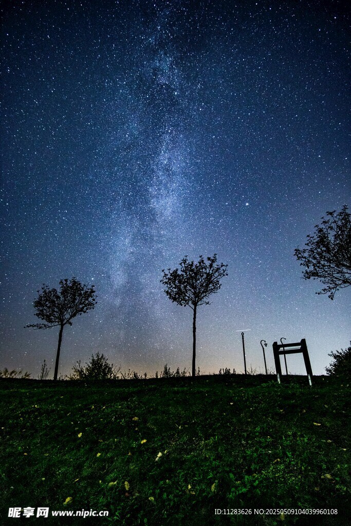 夜空下的草地与树木景观