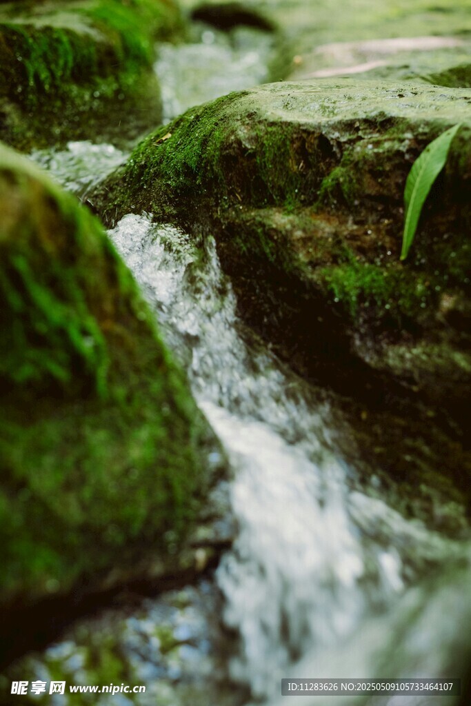 山间溪流潺潺过青苔石