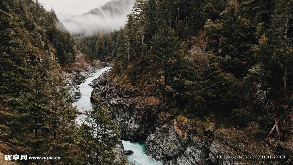 山间溪流穿林而过