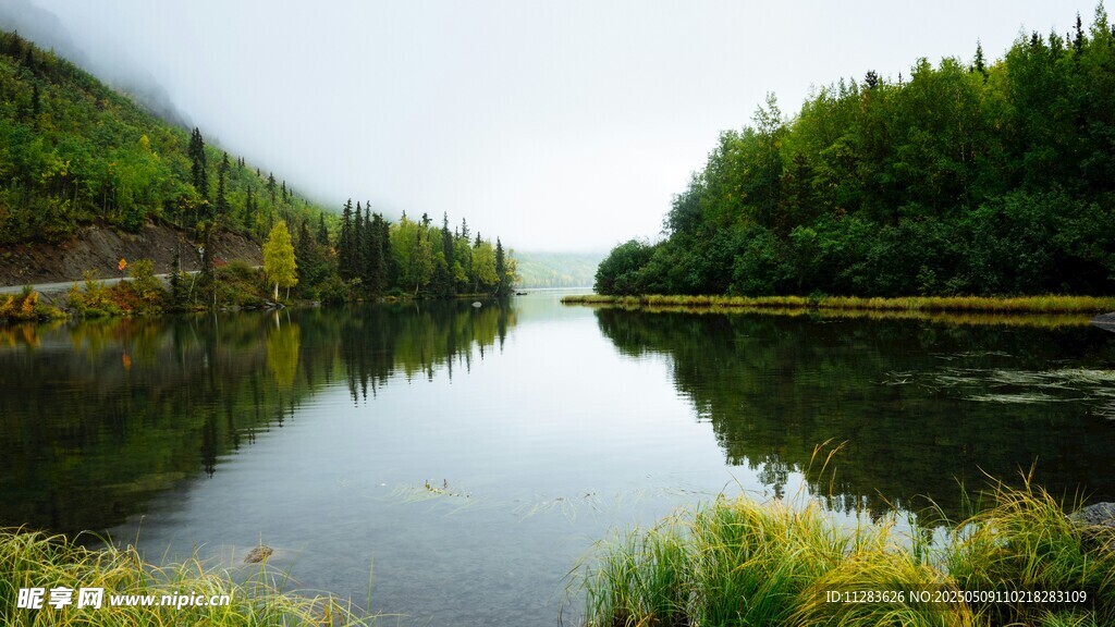 宁静湖畔森林倒影美景