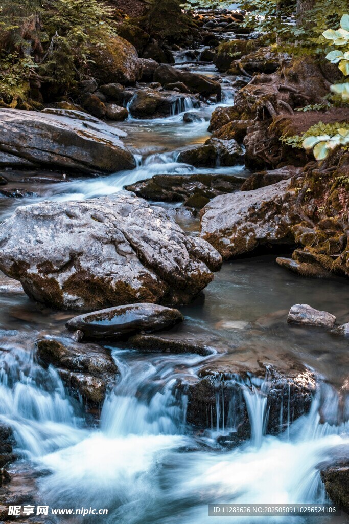 山间溪流潺潺流淌