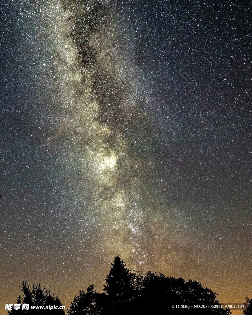 夜空下的璀璨银河与树木