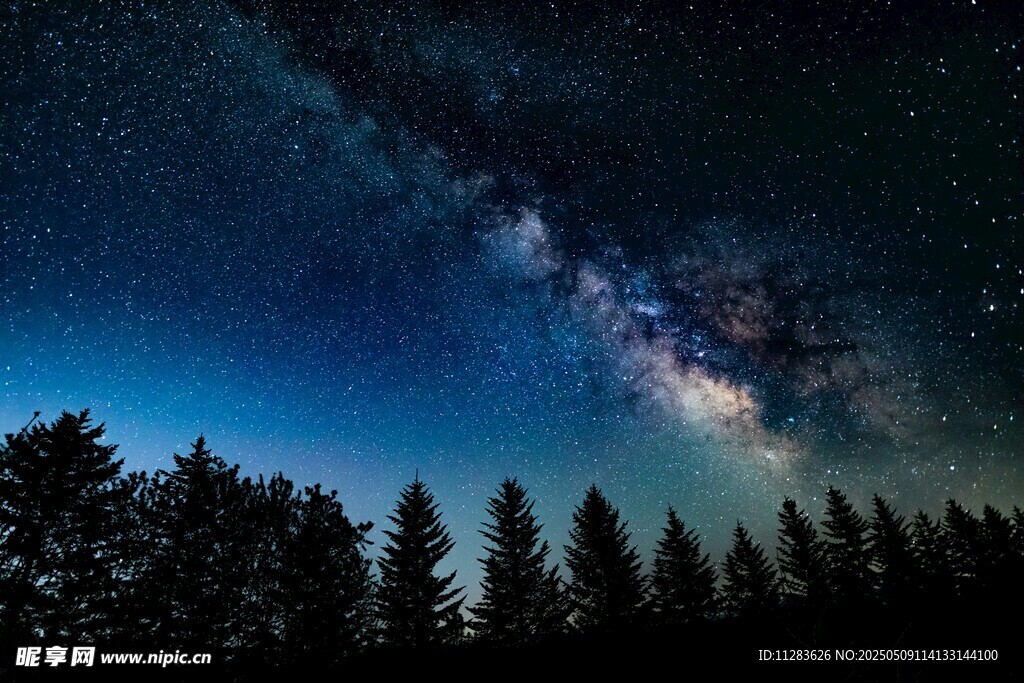 夜空下的森林与璀璨星河