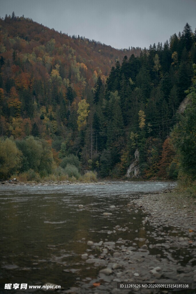 秋日山林边的宁静河流