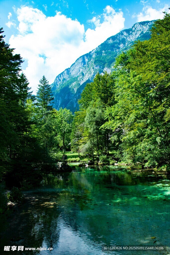 山间碧湖 绿意盎然的美景