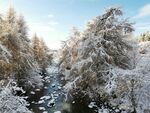 冬日雪覆溪流森林美景