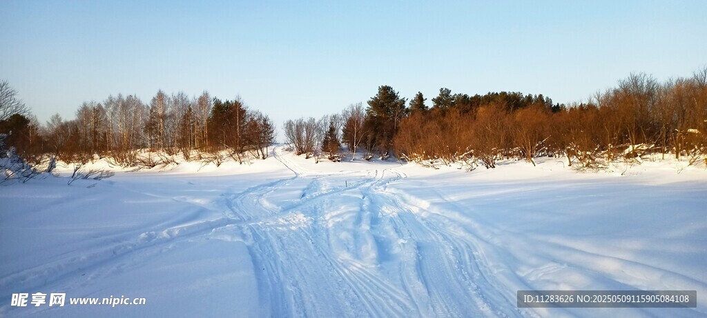 冬日雪野车辙景观