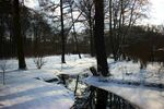 冬日雪林中小桥景致
