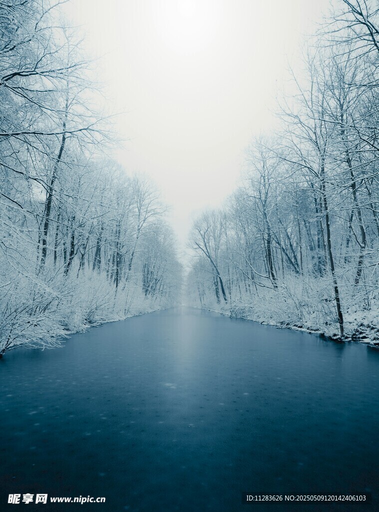 冬日雪覆河流静谧景象